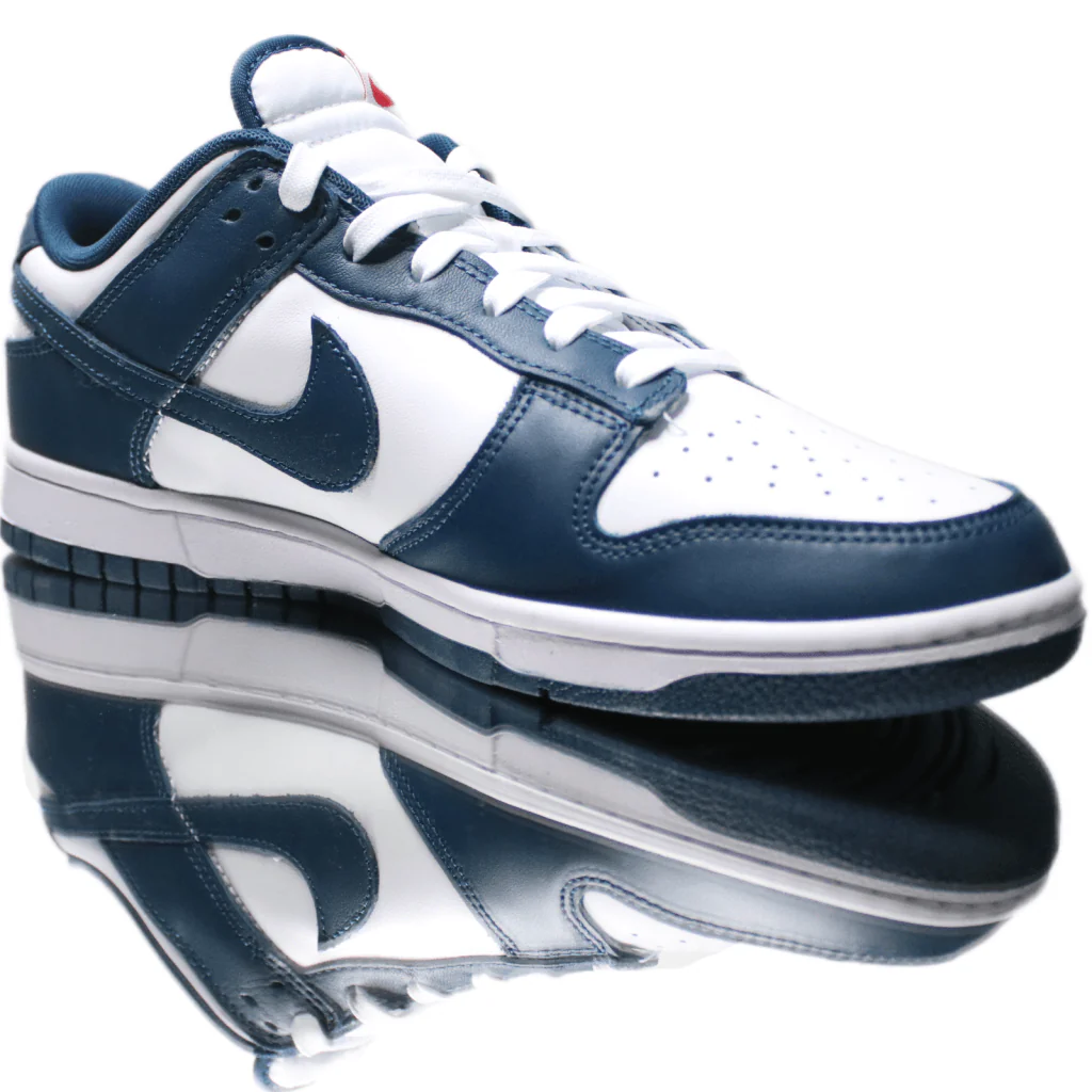 Nike Dunk Low Valerian Blue