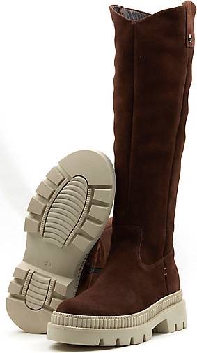COX Plateau-Stiefel