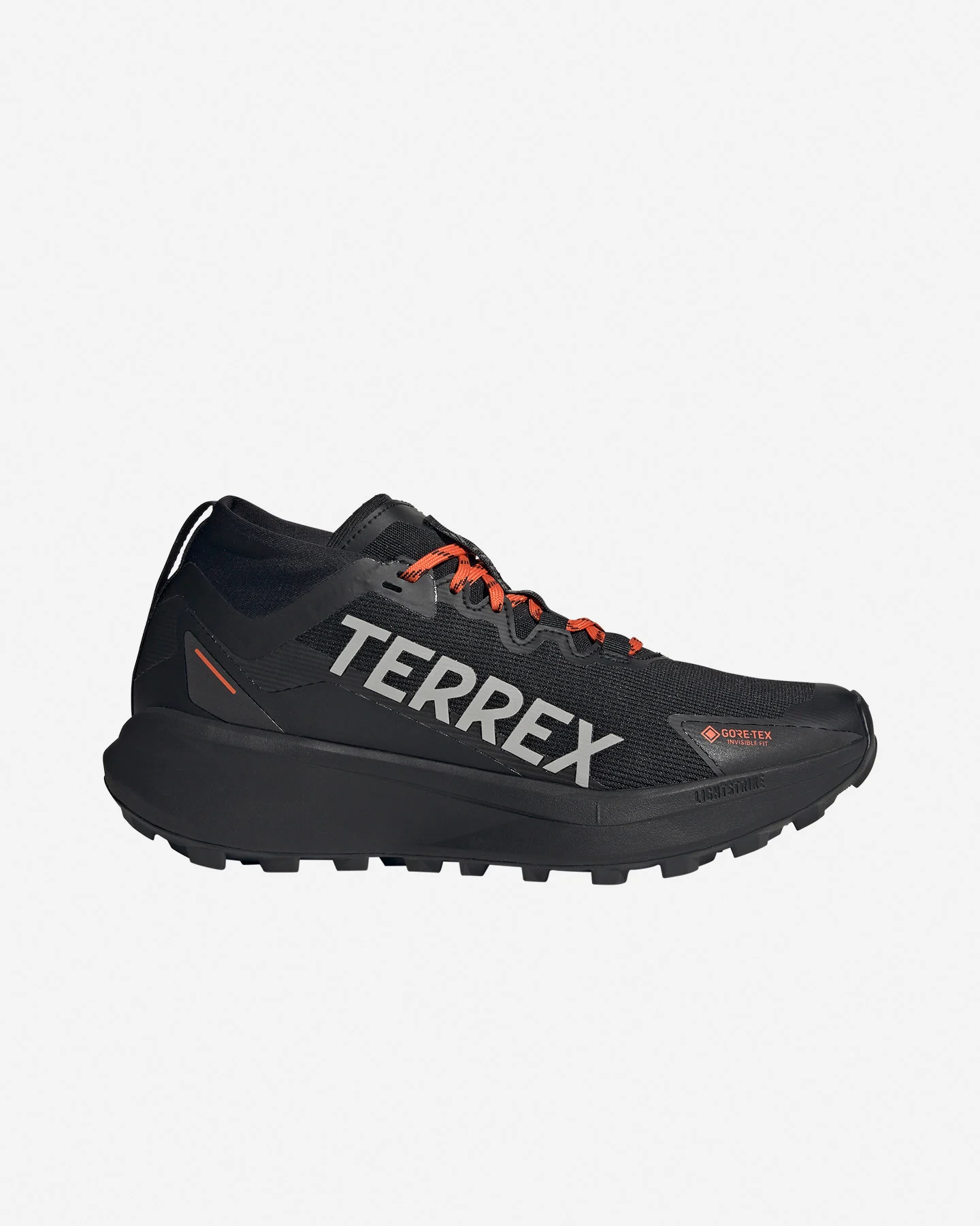Buty trekkingowe Adidas Terrex Agravic GTX M IH2939