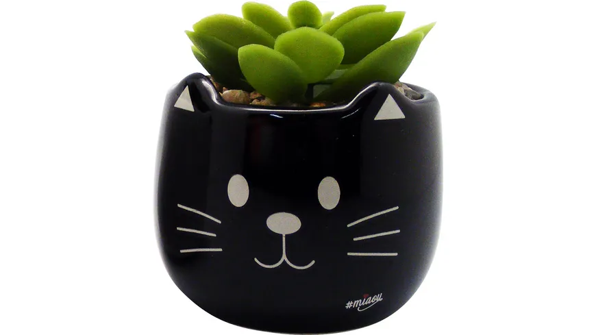 MIAOU Blumentopf Sukkulente schwarz MIA20BC/B schwarz