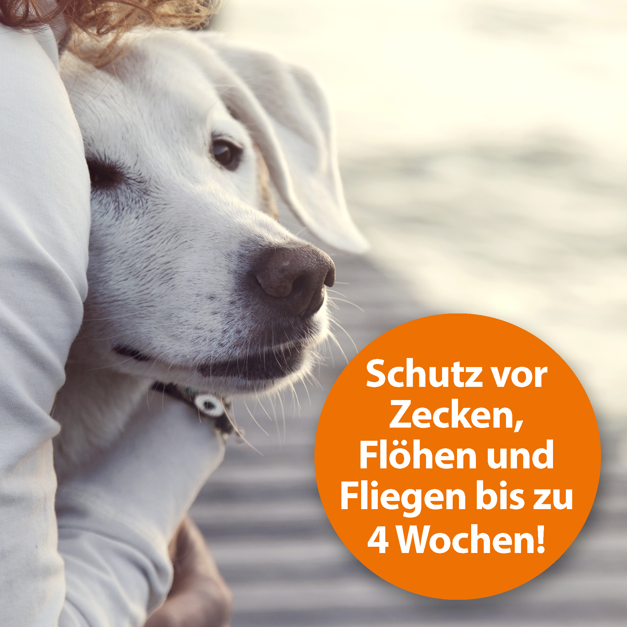 Ardap Floh- & Zeckenmittel Ardap Zeckenspray zur Anwendung am Tier 250ml