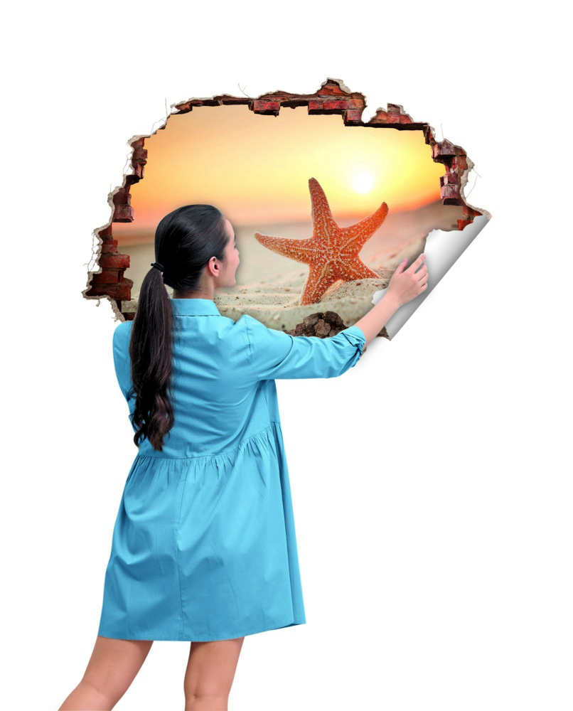 MAXXMEE Wandtattoo 3D Seestern 70x100cm mehrfarbig