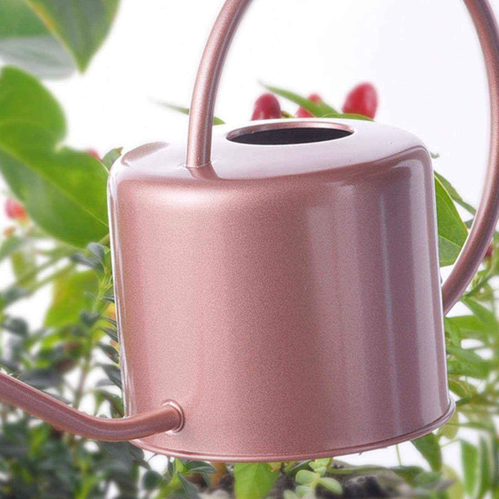 SEEZSSA Gießkanne 1.3l Gießkanne für Zimmerpflanzen Sukkulenten,Innen- und Außenbereich (1,3 Liter), Edelstahl Pflanzen-Gießkanne Klein Gartengießkanne,Blumengießkanne