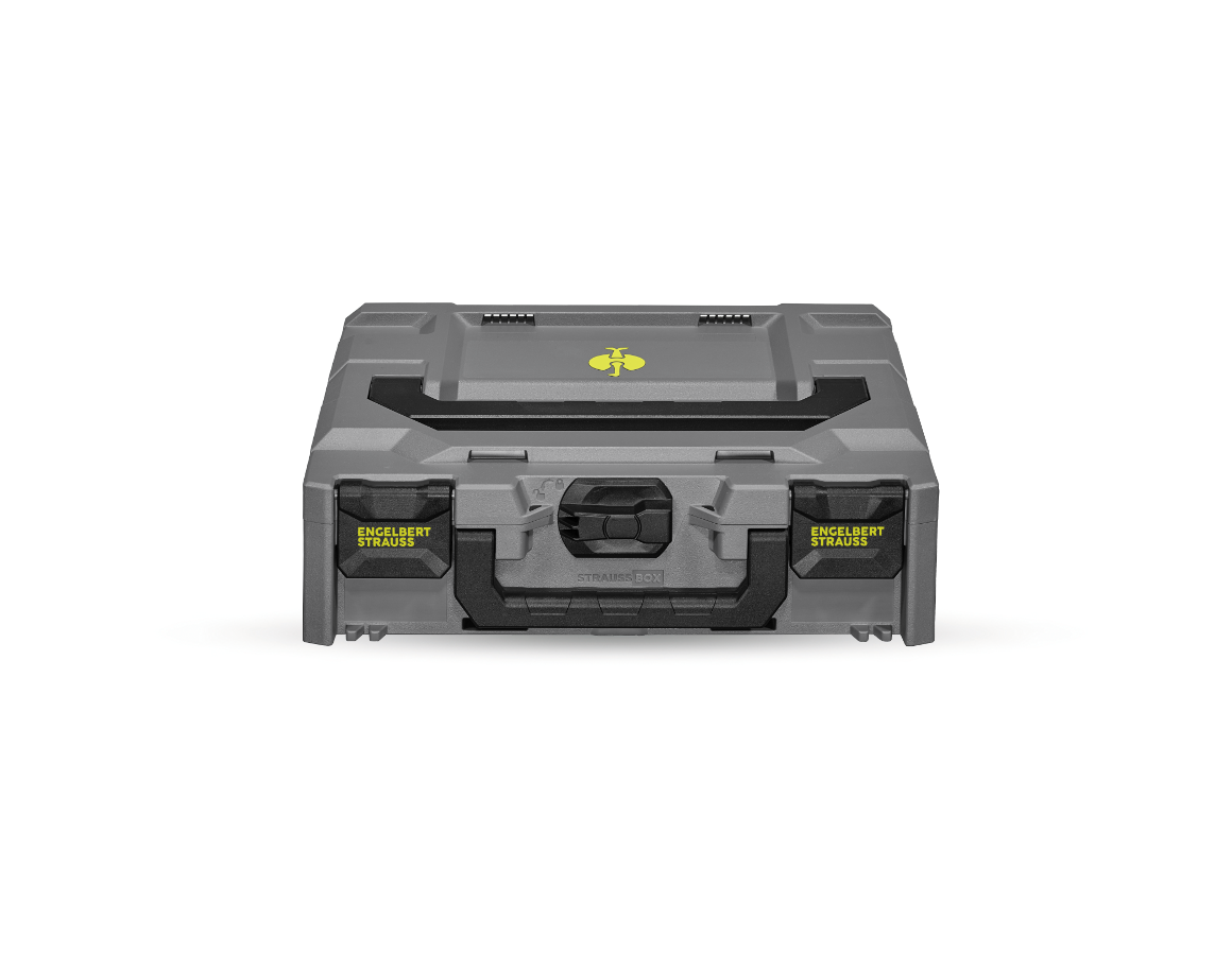 STRAUSSbox 118 midi