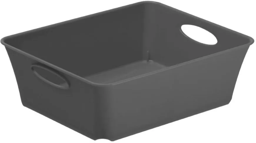 rotho Aufbewahrungsbox Livingbox 1l Anthrazit