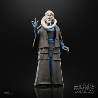 Star Wars Episode VI 40th Anniversary Black Series Actionfigur: Bib Fortuna