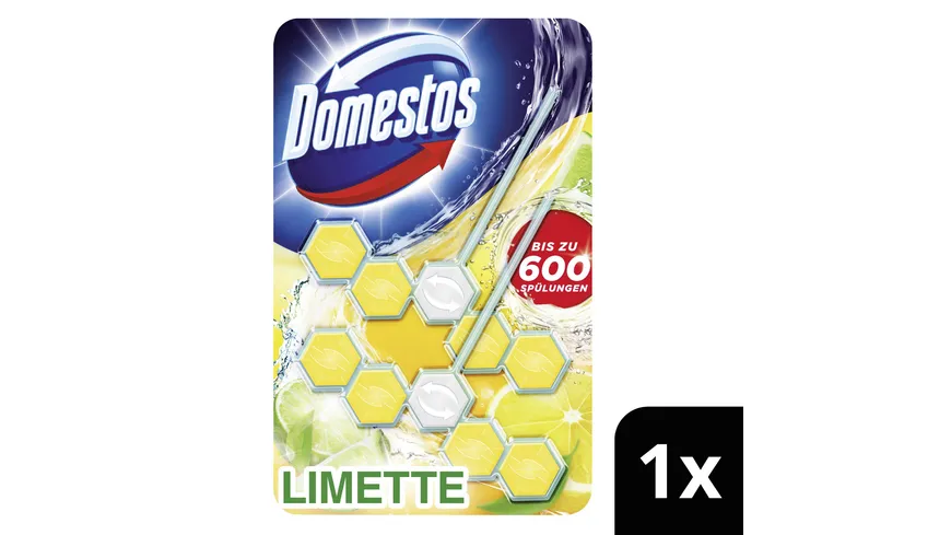 Domestos WC Stein Power 5 Limette Duo 110 g