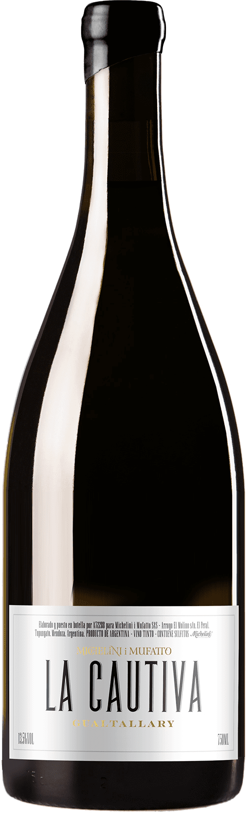 Michelini i Mufatto Mendoza: La Cautiva Malbec 2020