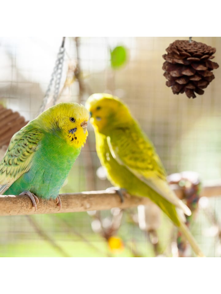 relaxdays 8-tlg. Vogelspielzeug in Natur günstig kaufen onesize