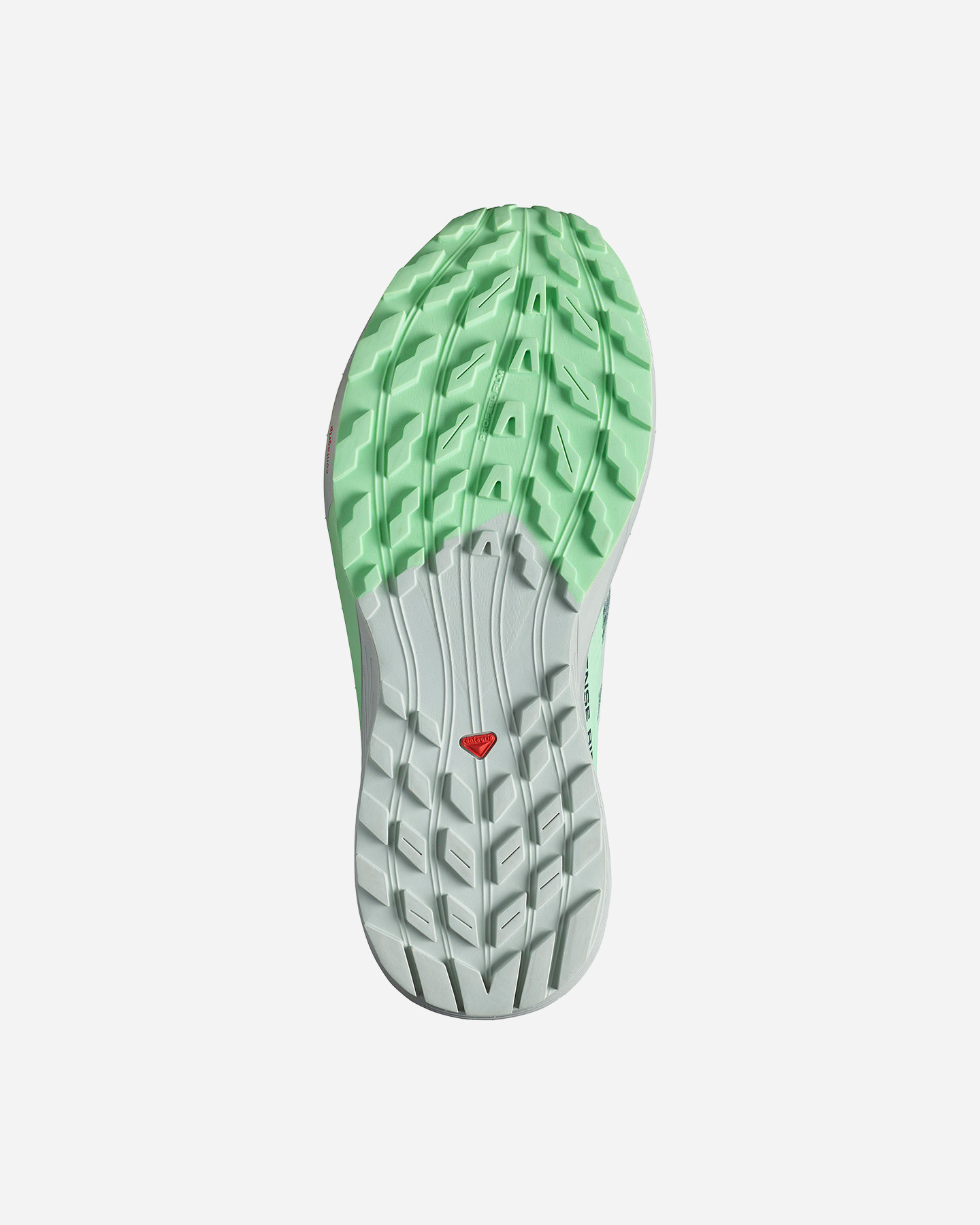 Topánky Salomon Sense Ride 5 W L47314100