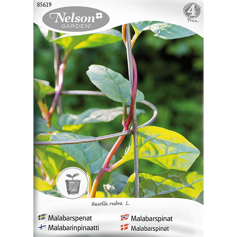 Nelson garden Frø Malabarspinat Rød