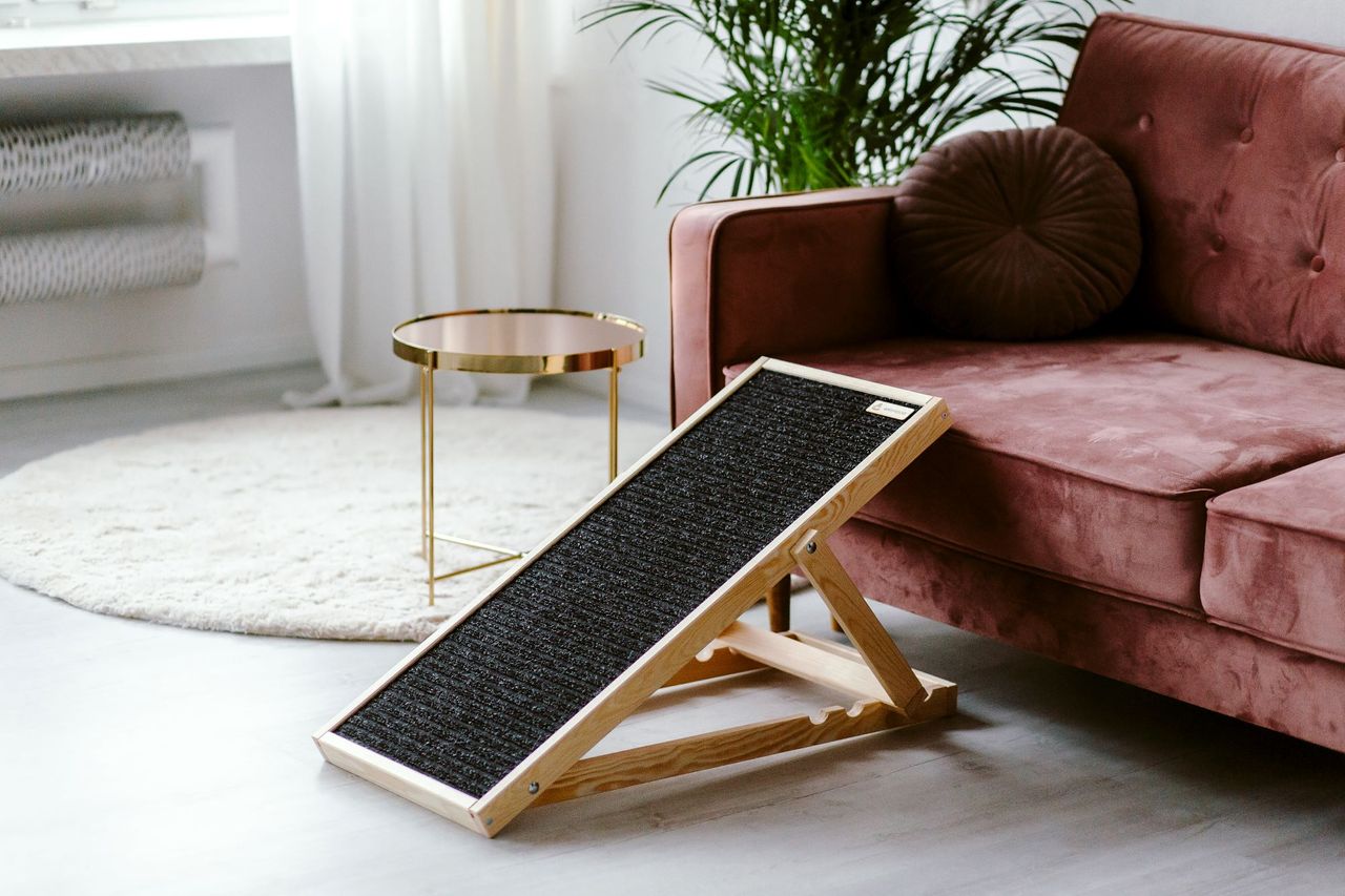 Animood Hunderampe Skipper naturbelassen Hundetreppe