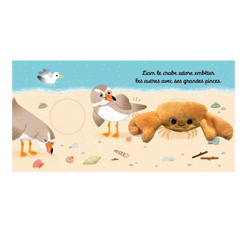 Livre Les bébêtes liam le crabe - Casterman