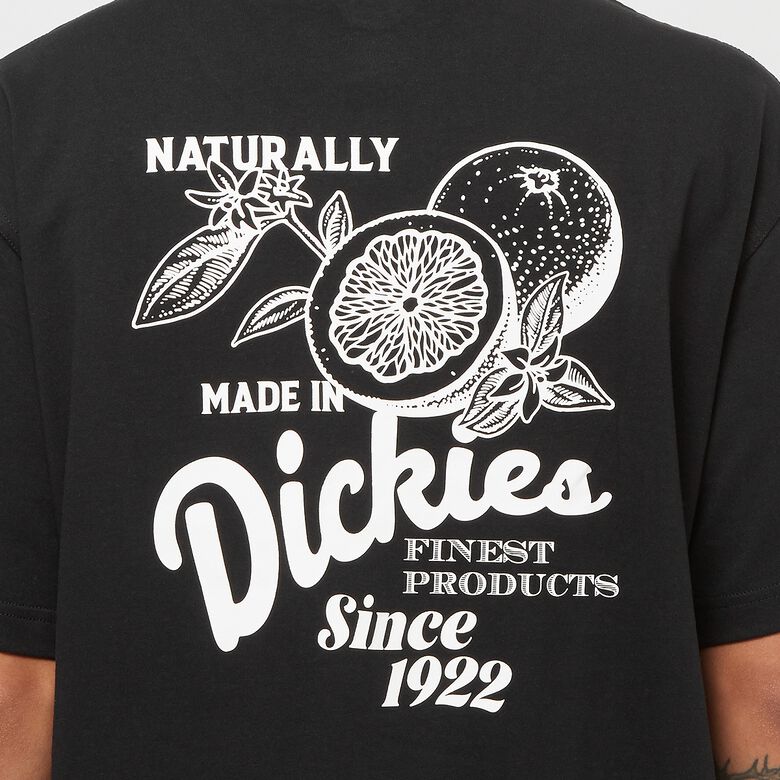 Dickies Raven Tee Short Sleeve Black schwarz