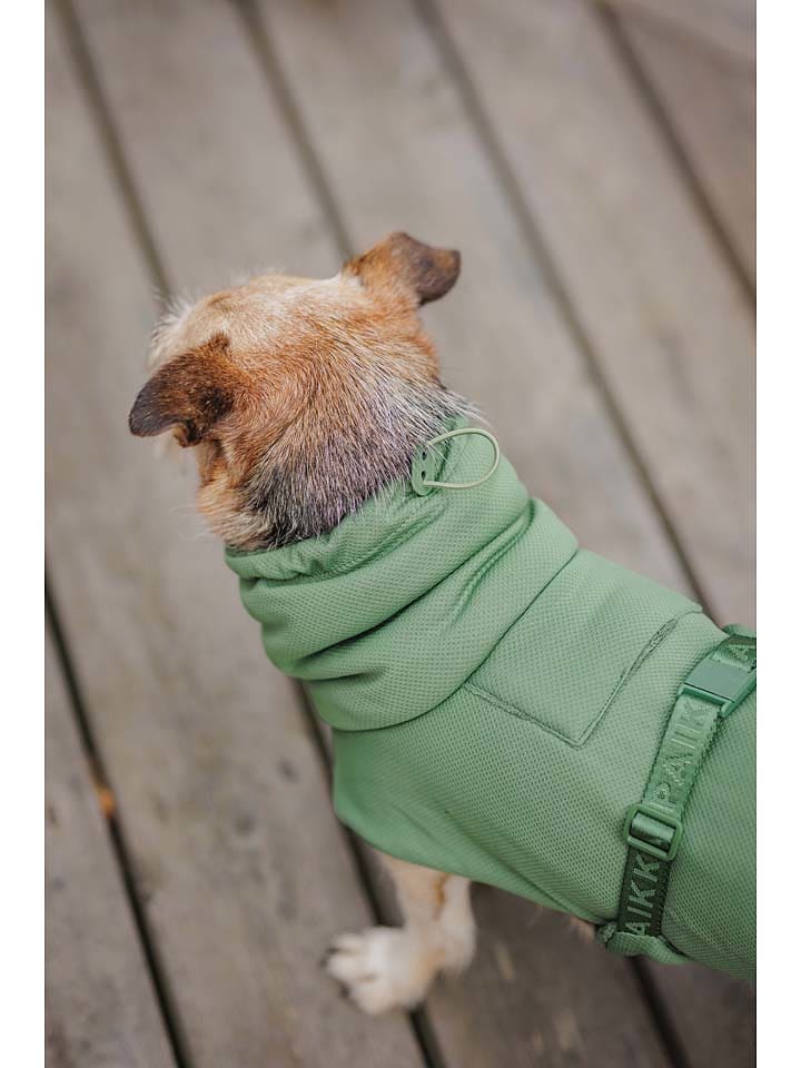 Paikka Hunde-Trockenmantel 