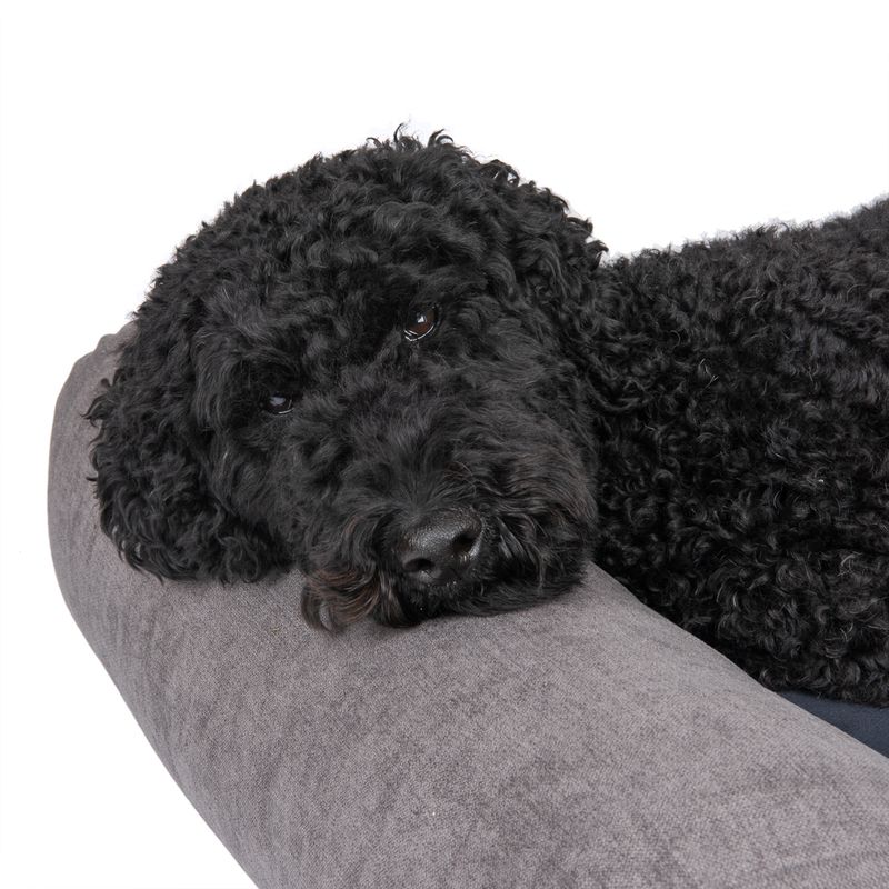 Modern Living Hundematratze Malbork zu TOP-Preisen