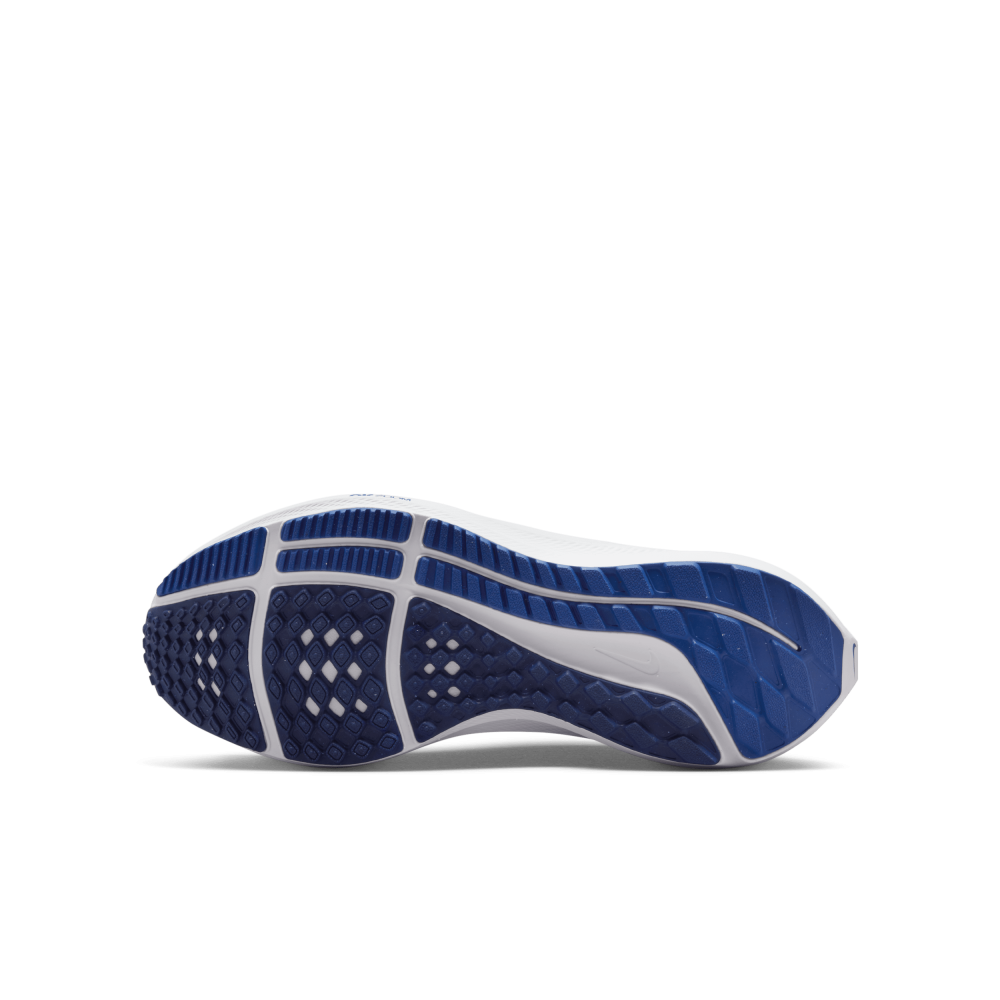 Nike Air Zoom Pegasus 40 DX2498-400 / blau