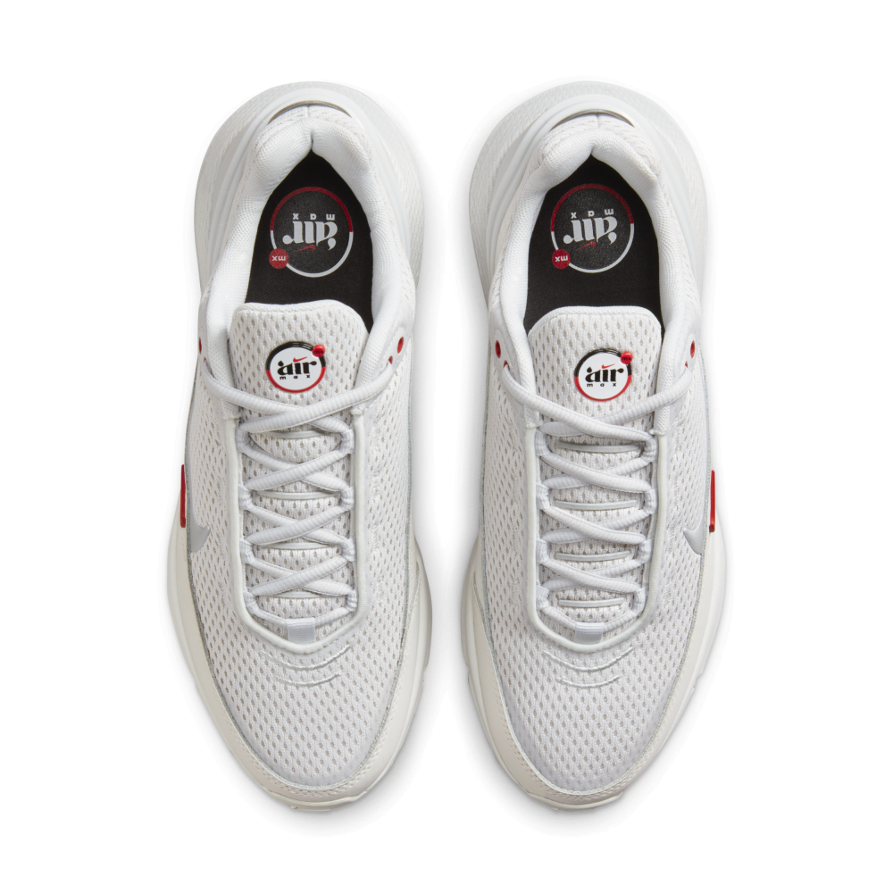 Nike Air Max Pulse FD6409-001 / grau