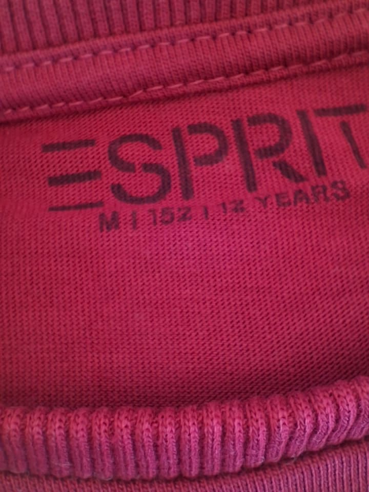 ESPRIT Shirt in Beere günstig kaufen 152