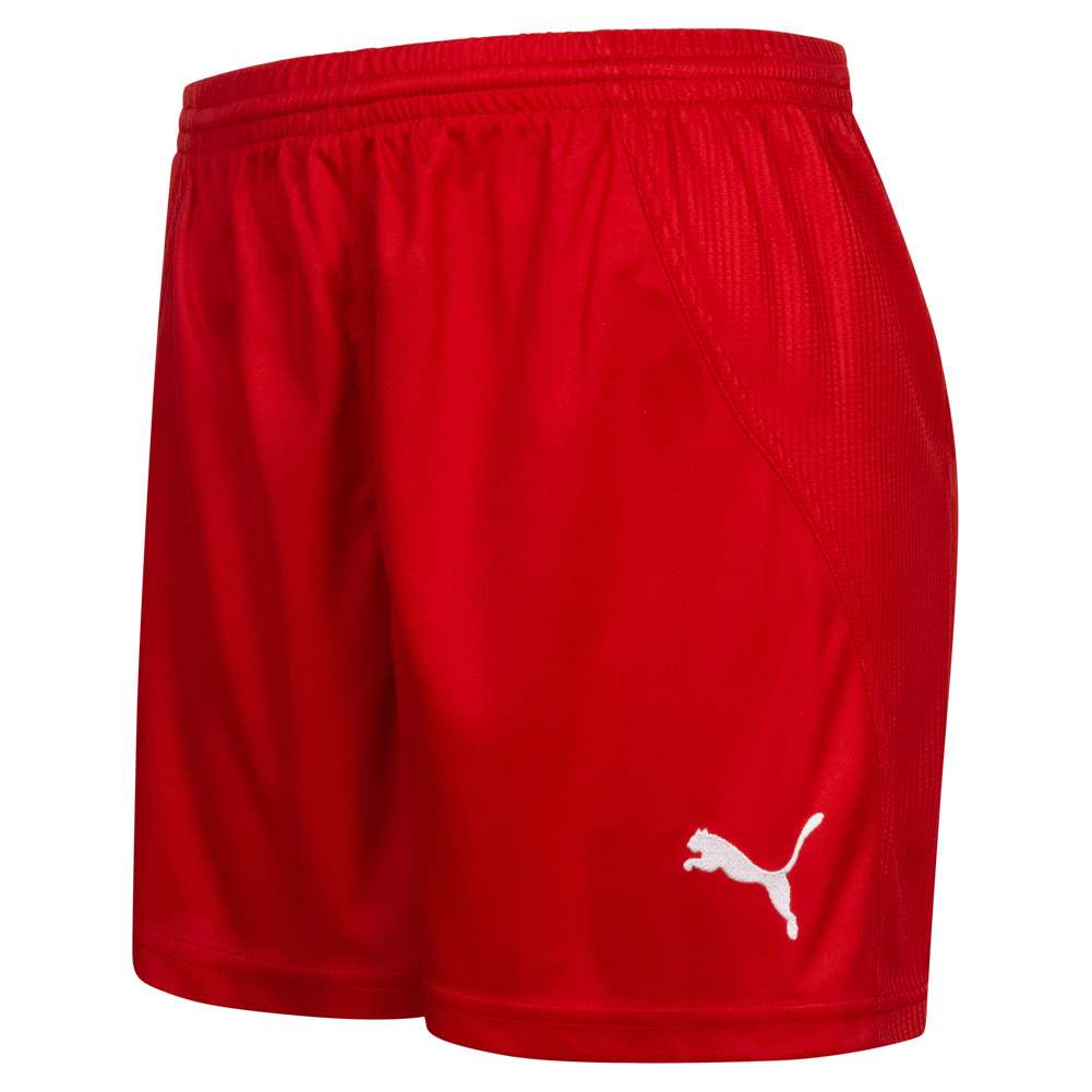 DHF Dänemark PUMA Damen Handball Shorts 739217-02