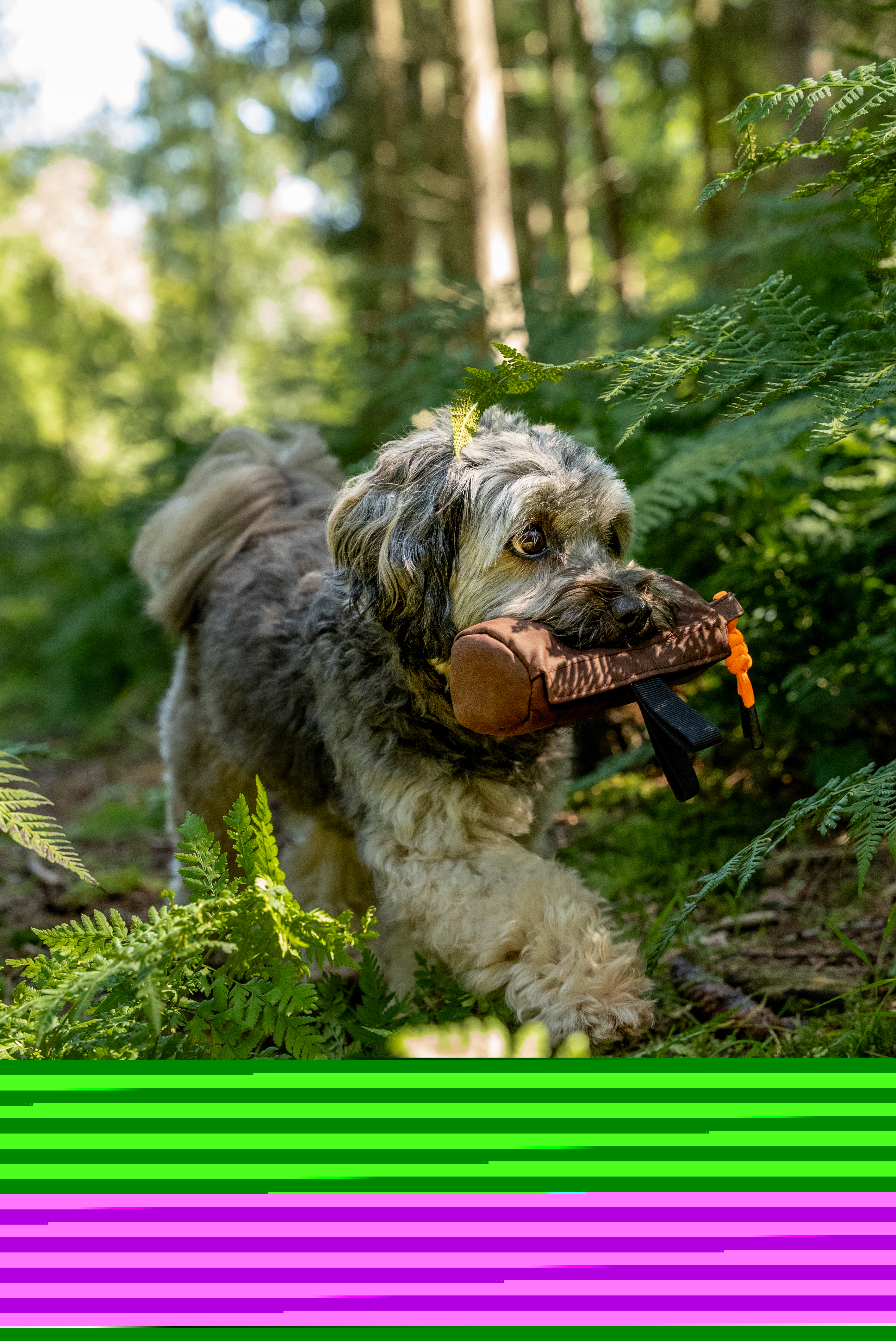 TrendPet Snackbeutel TrendPet KURT Futterdummy braun XL