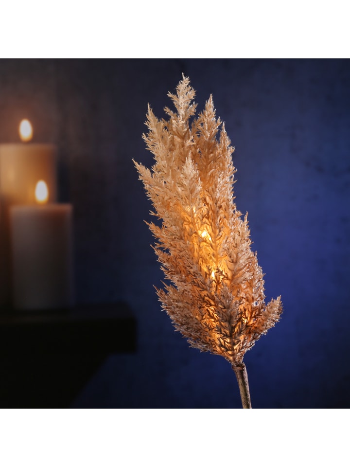 MARELIDA LED Zweig Pampasgras leuchtend Dekozweig H: 70cm in braun günstig kaufen onesize