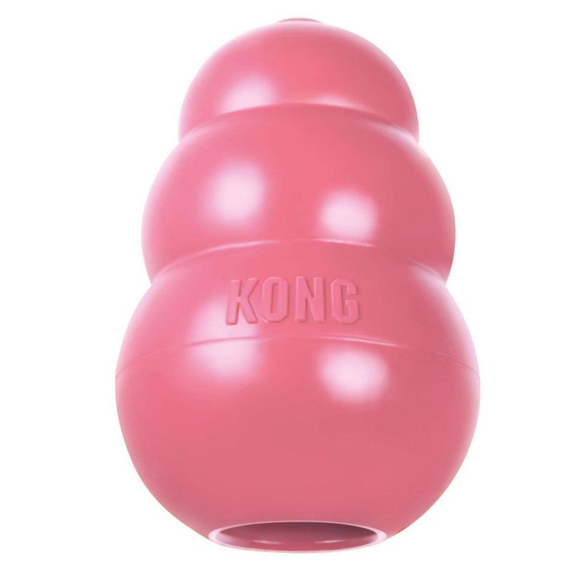 KONG Welpenspielzeug - pink zu TOP-Preisen