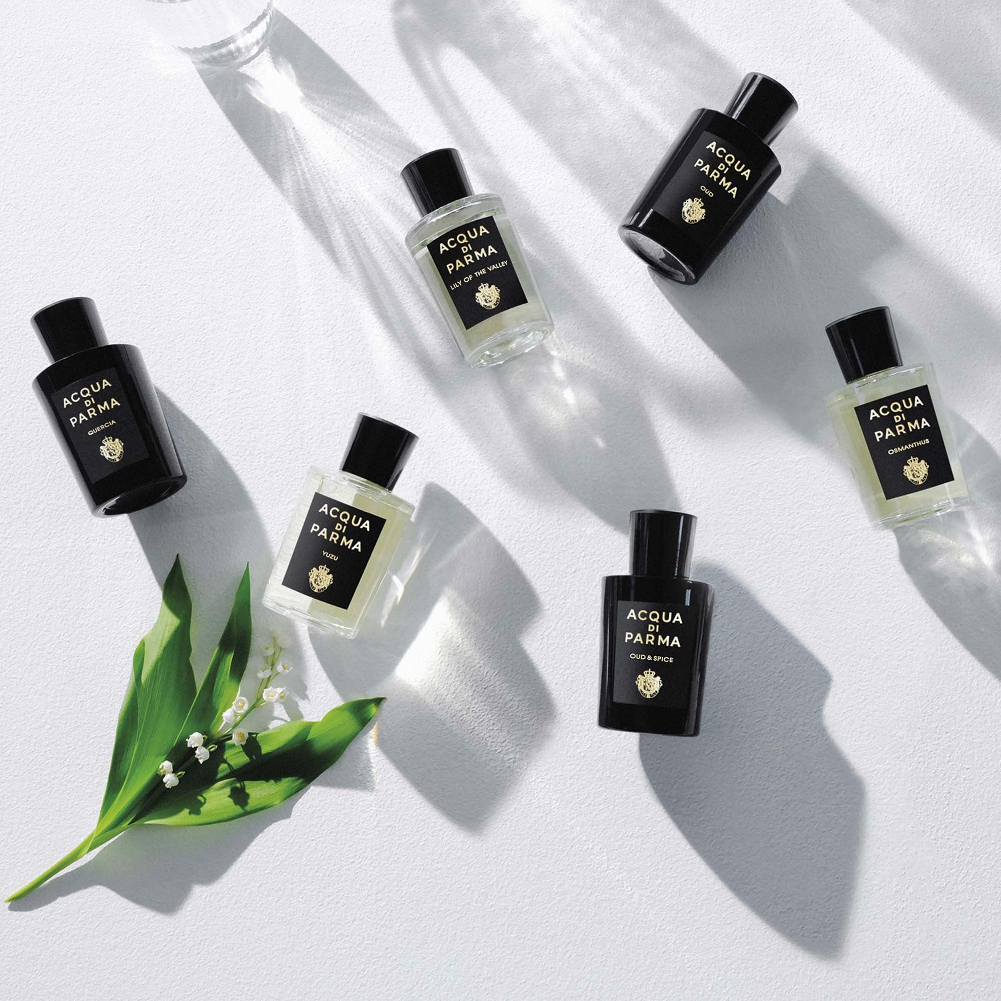 Sun Yuzun allekirjoitukset - Eau de Parfum Unisex, Eau de Parfum