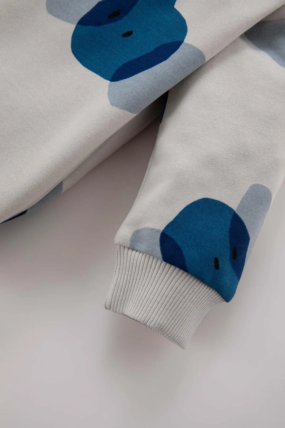 DeFacto  Gemustertes Sweatshirt-Jogginghose-Set für Babys, 2-teilig