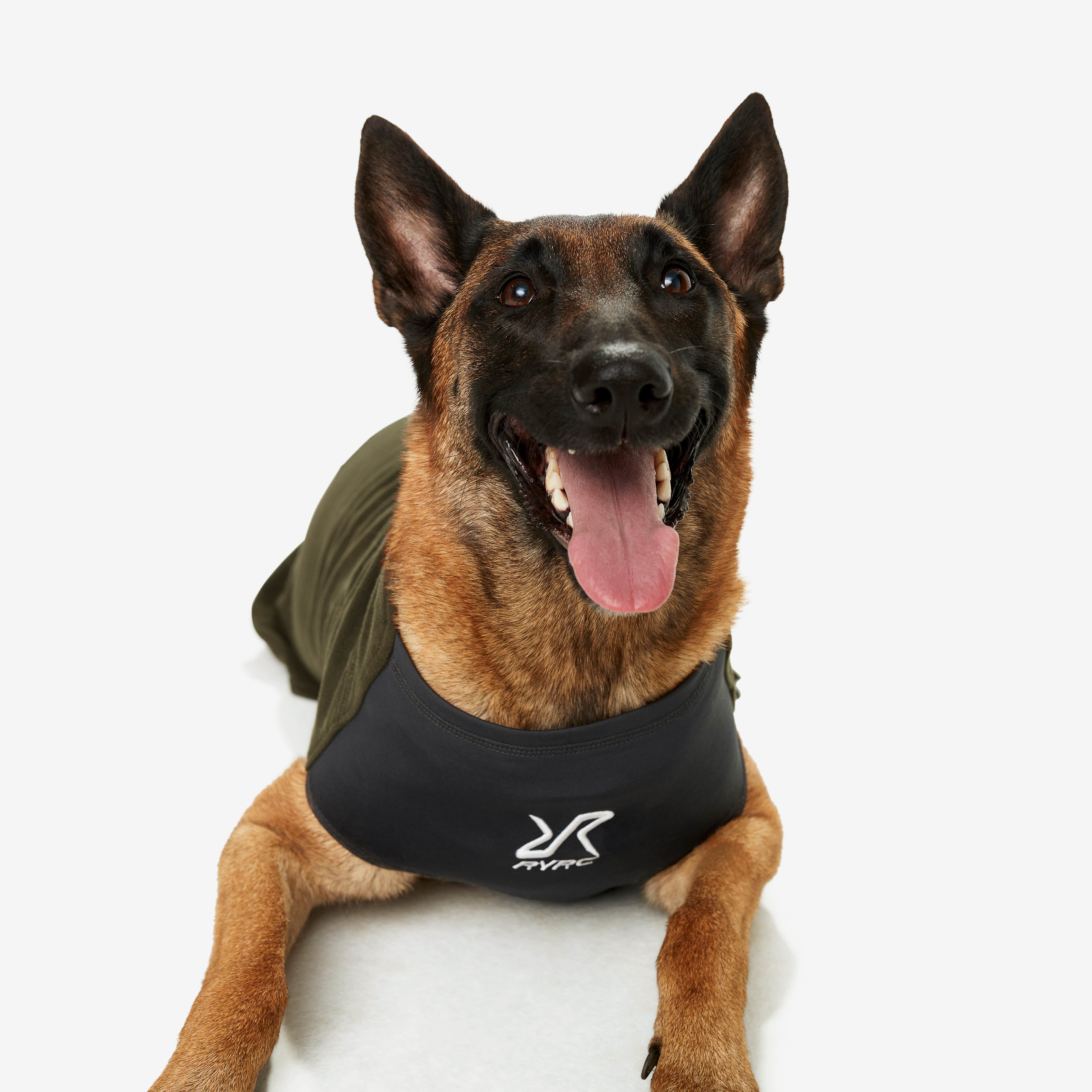 Trekker Fleece Chien Forest Night