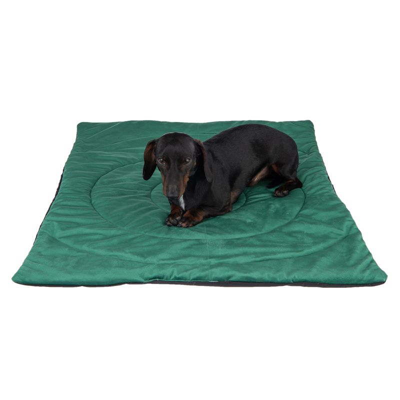 Reise-Hundematte Kompass zu TOP-Preisen