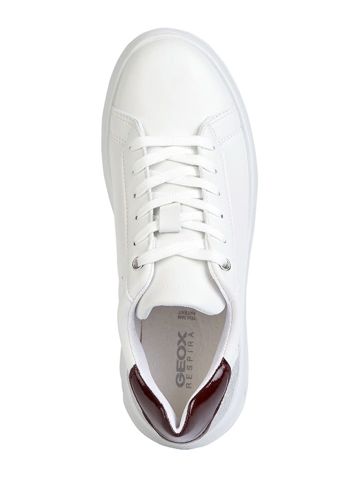 Geox Sneakers 