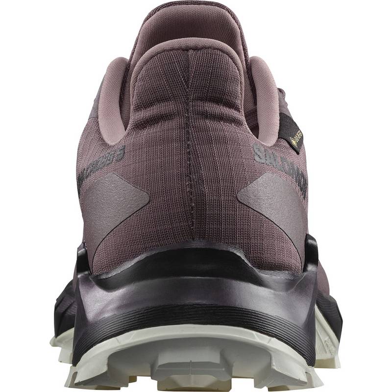 Salomon ALPHACROSS 5 Multifunktionsschuhe Damen