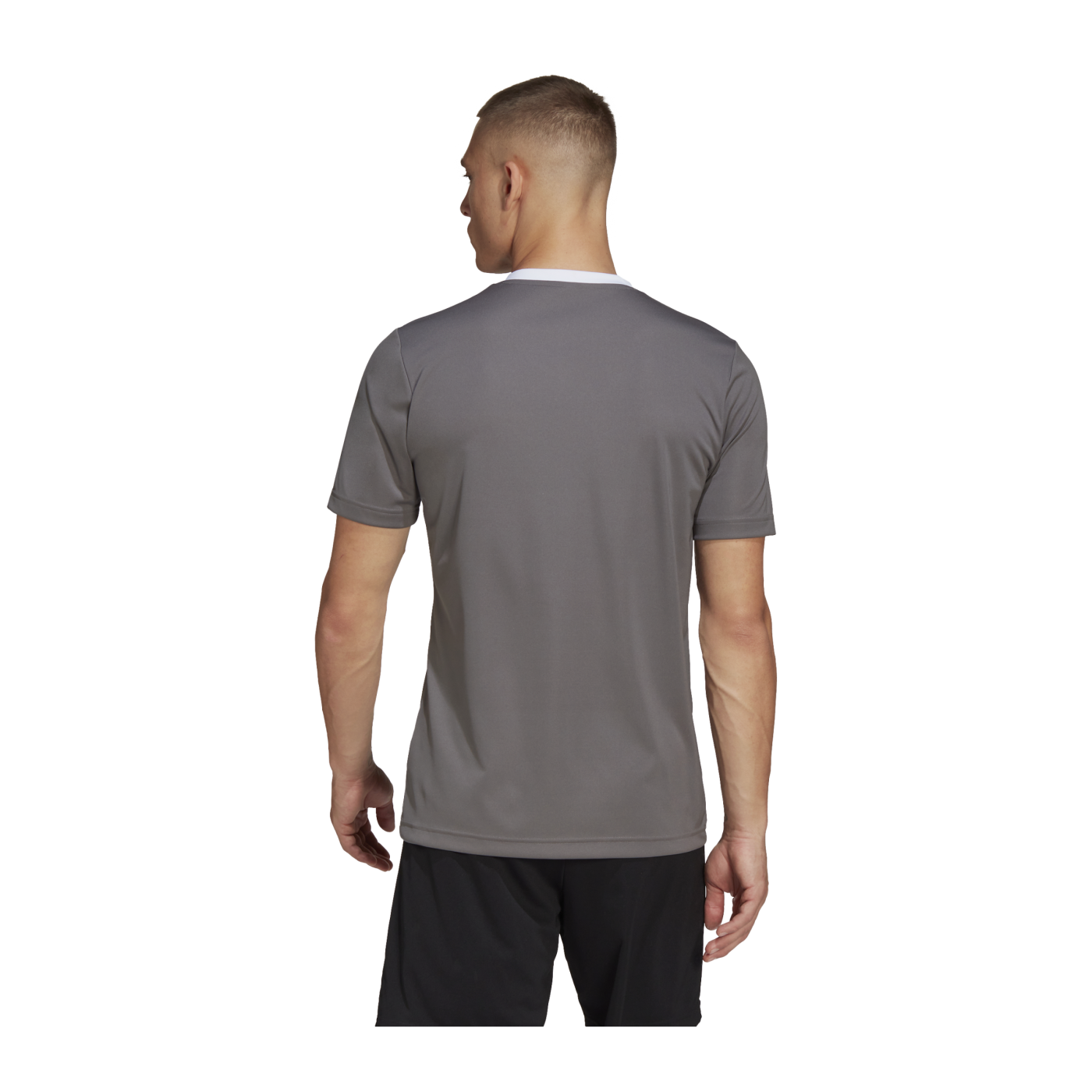 adidas Entrada 22 Trikot Grau Weiss