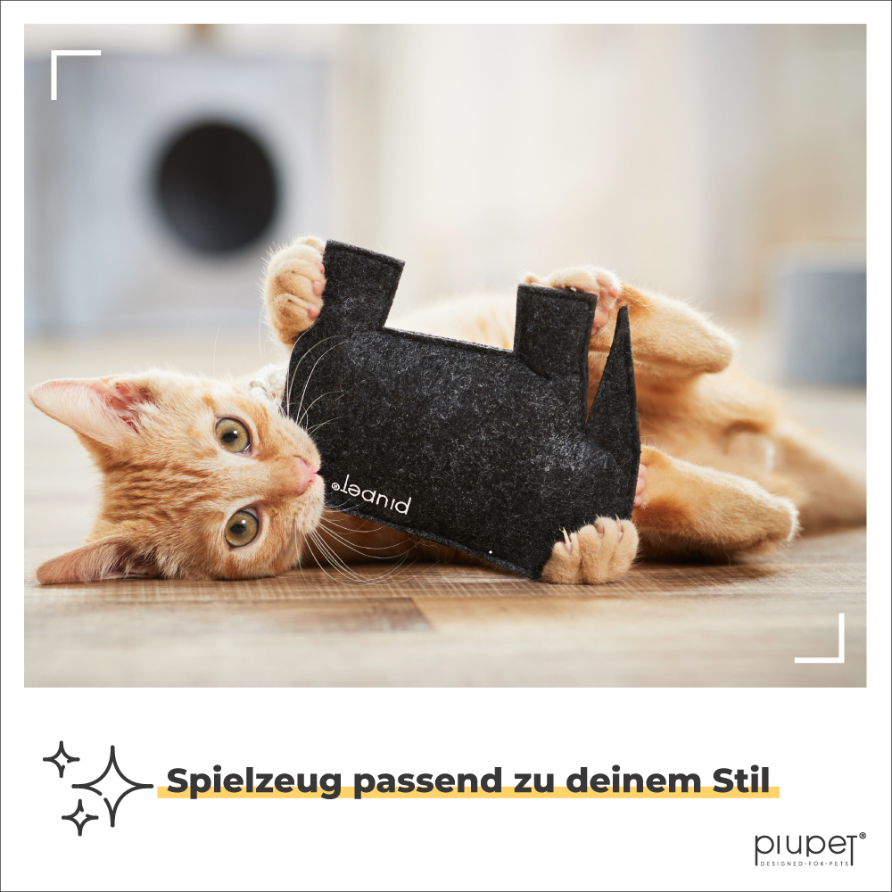 PIUPET Spielmäuse & Bälle PIUPET Katzenspielzeug