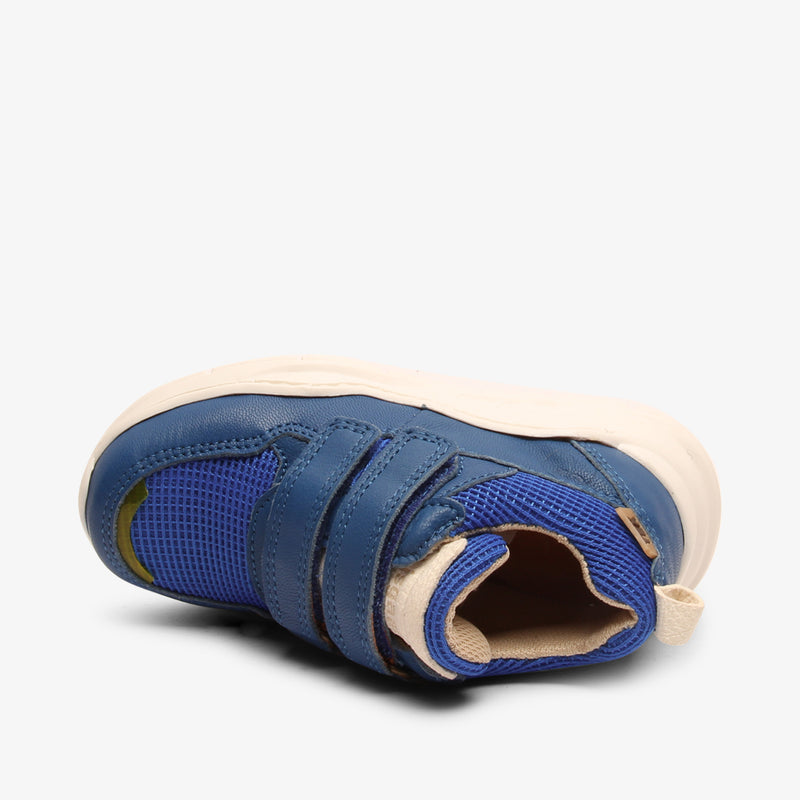 pan tex cobalt - Blau