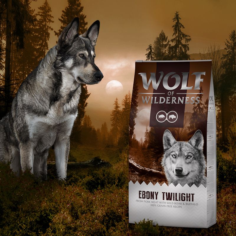 Wolf of Wilderness 'Ebony Twilight' - Wild & Büffel