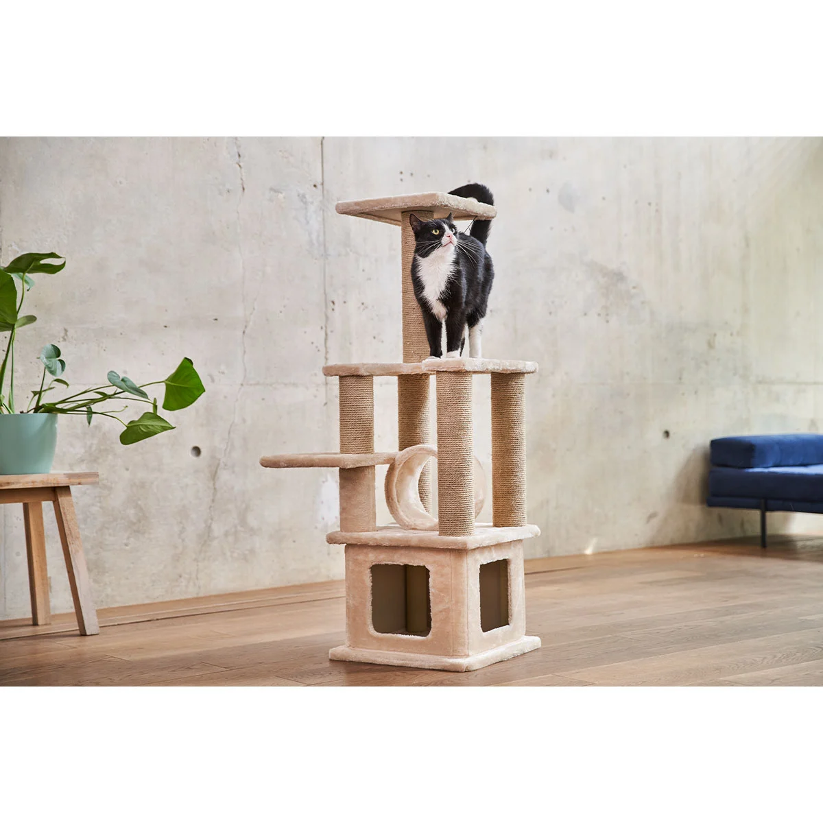 ZooRoyal Kratzbaum Sofia 114 cm creme günstig kaufen