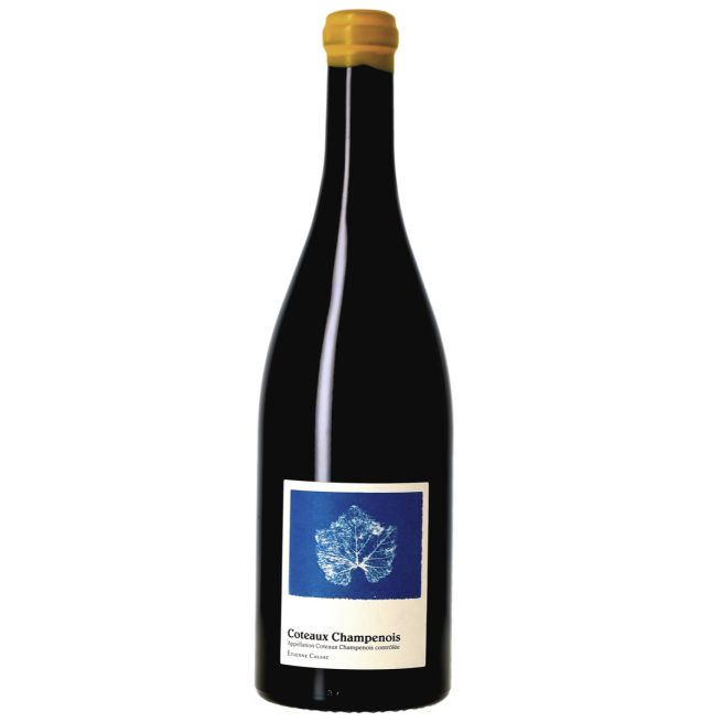 Etienne Calsac, Coteaux Champenois