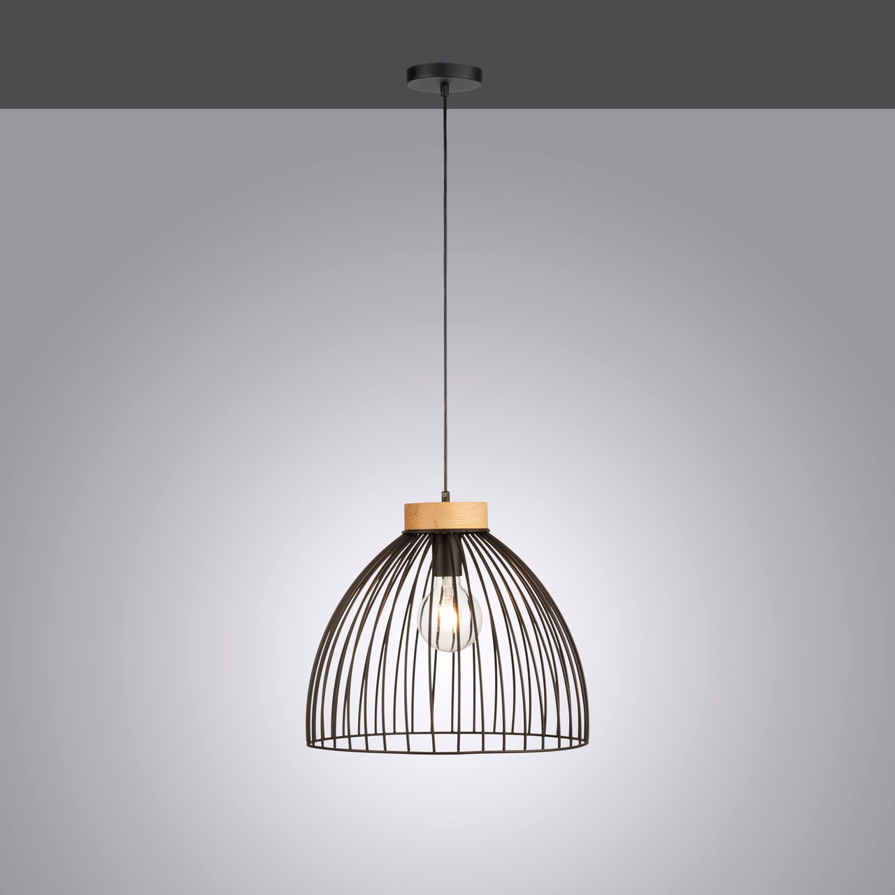 JUST LIGHT LeuchtenDirekt LAMI, Pendelleuchte 1-flammig, E27 Leuchtmittel a max. 25,00 Watt, Metallschirm, Ø40cm, schwarz