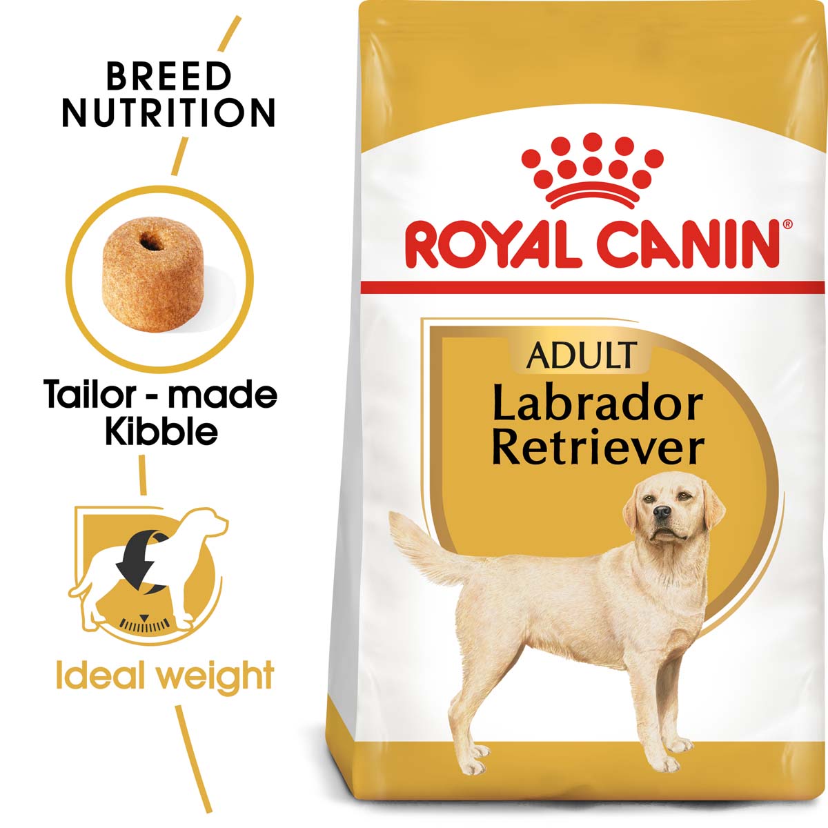 ROYAL CANIN Labrador Retriever Adult 3kg + Labrador Adult in Soße 10x140g