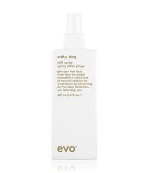 evo salty dog Salt Spray Texturizing Spray-200 ml