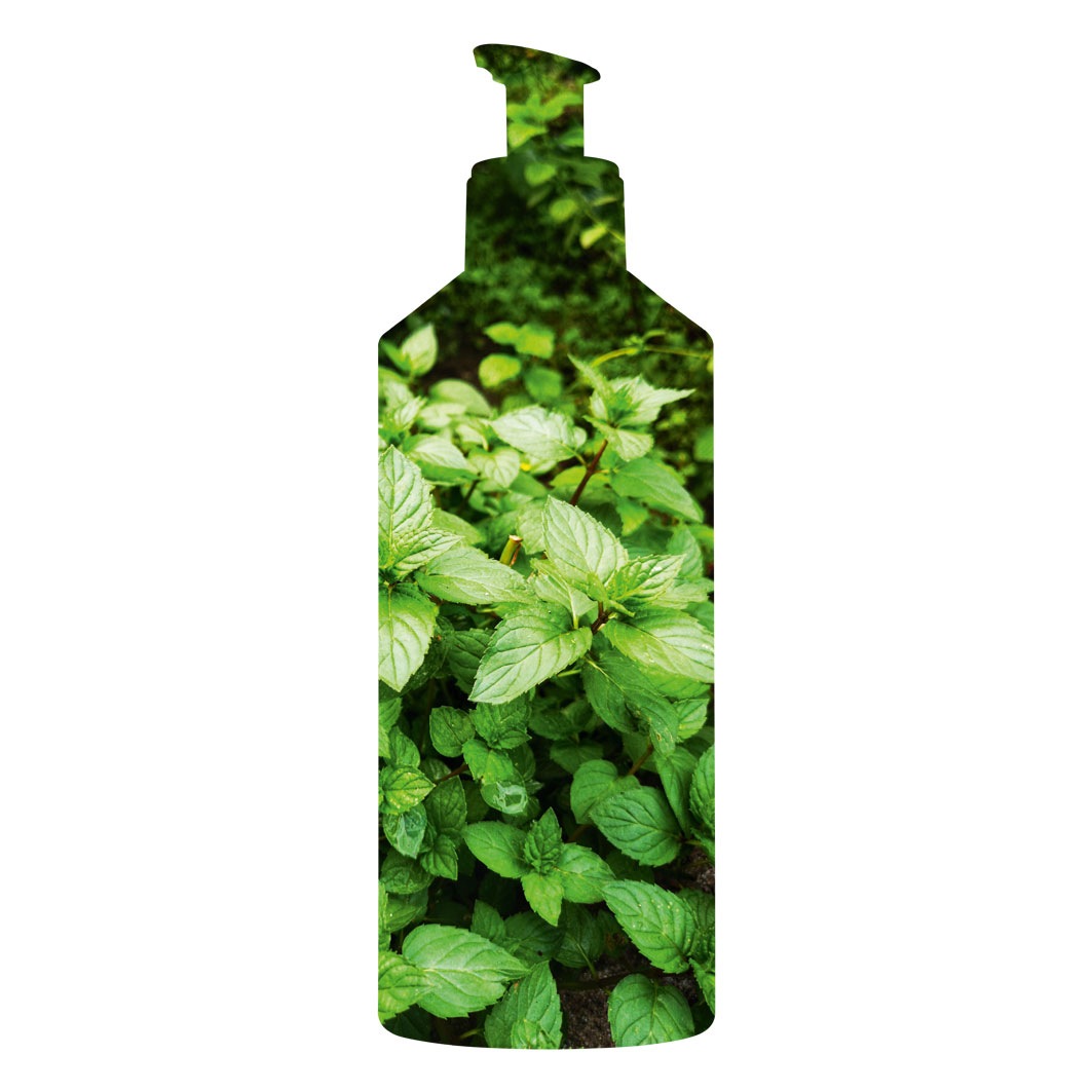 Pure Menthe Klärendes Reinigungsgel