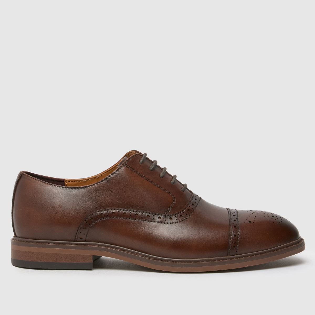 čevlji Schuh Raven brogue v rjavi barvi