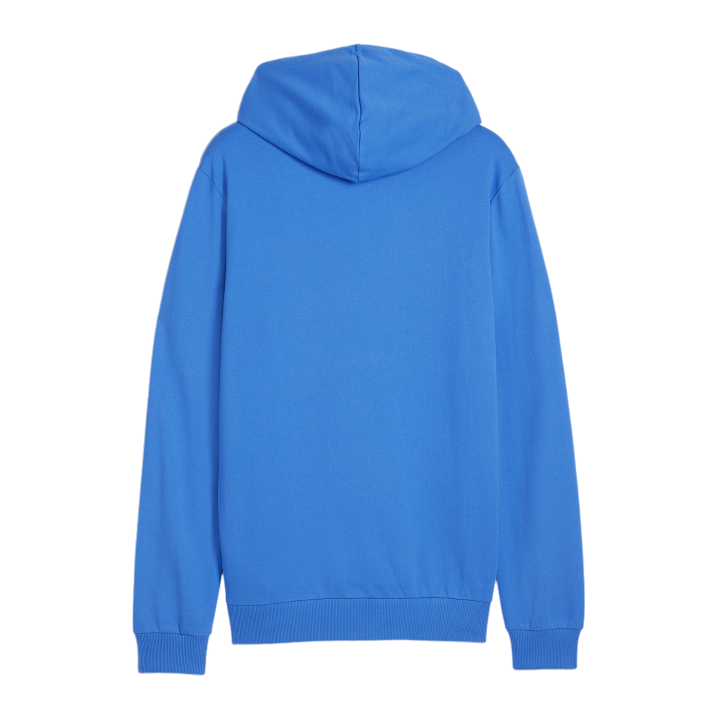 PUMA teamGOAL Casuals Hoody Blau F02
