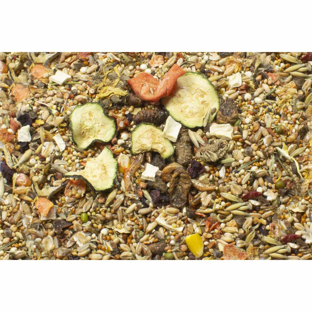 JR Farm Rennmausfutter Adult 500g günstig kaufen