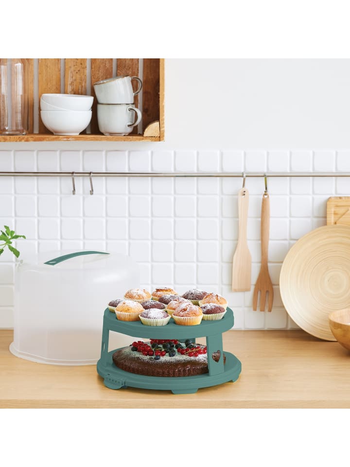 Rotho FRESH Tortenglocke hoch mit Trays in Transparent / Mistletoe grün günstig kaufen onesize