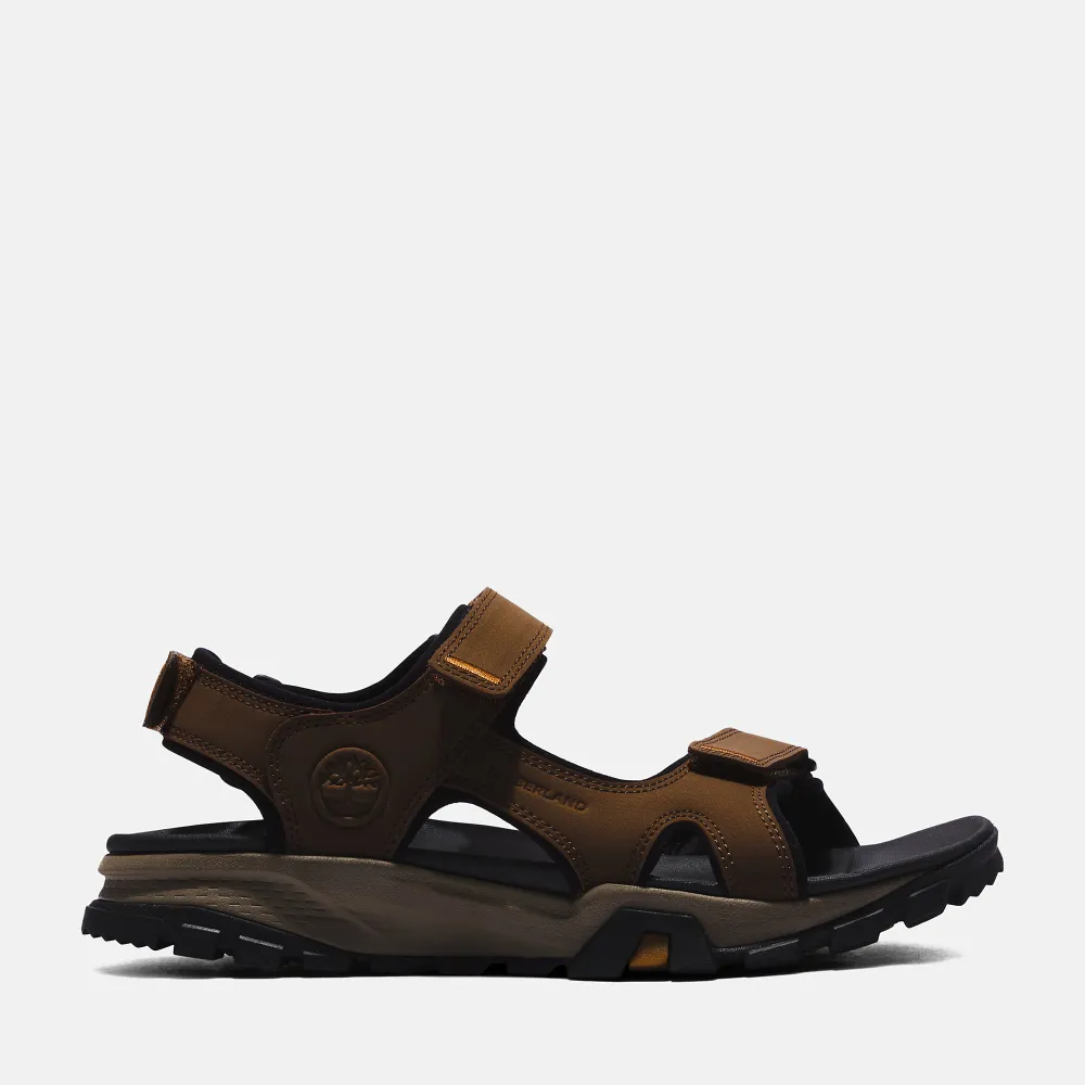 Timberland Lincoln Peak TB0A5T489681 / braun