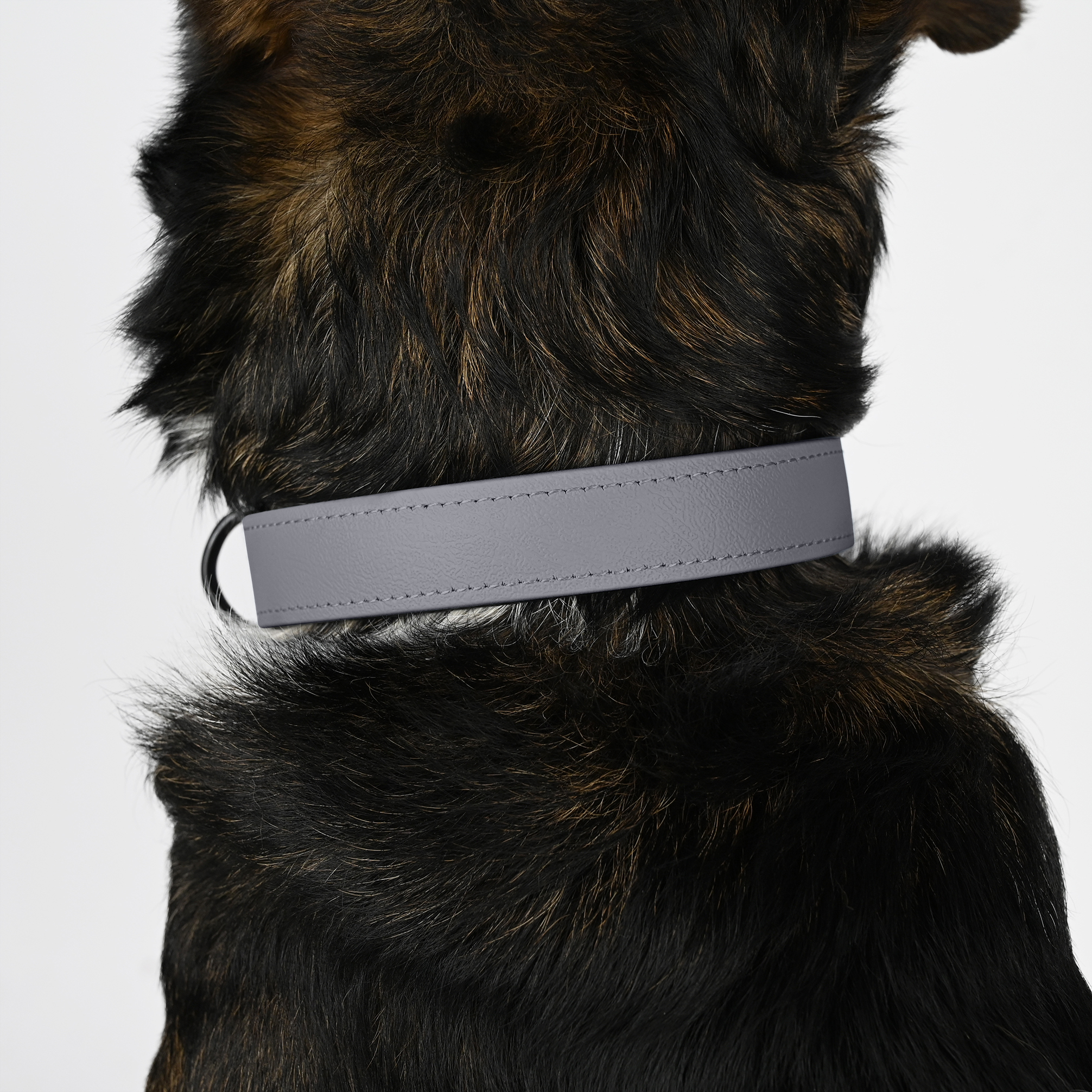 THE DOG IDEA Hundehalsbänder THE DOG IDEA Biothane Halsband Grau neon gelb XXL