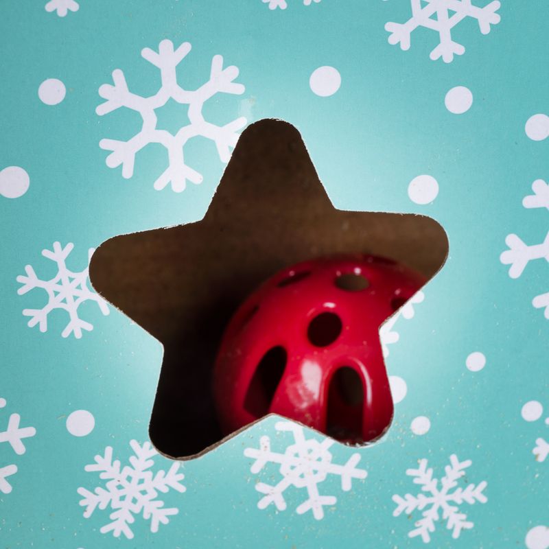TIAKI Xmas Kratzbrett zu TOP-Preisen